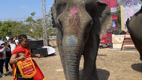 Uănh đah rveh kơt nuĭh tâm wâl