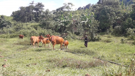 Nam Giang: Bơơn lâng z’lâh 8/13 cr’nọo bh’rợ Nghị quyết Đại hội Đảng bộ chr’hoong g’luh XX