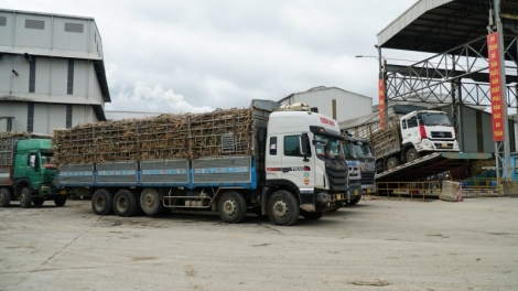 N'hao dăng mât ŭanh ndeh rdeng lăn lhăt bêng ir