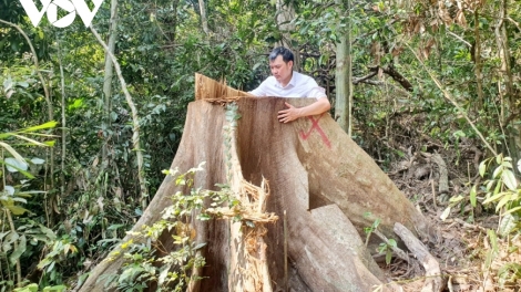 Ngai col pa hư bấc n’loong ga mắc cóh crâng g’mrâng Bình Định?