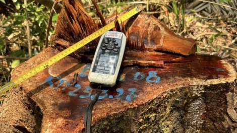 Thừa Thiên Huế: Cha mêệt lêy, toom bhrợ ghit apêê pa hư crâng đhị chr’hoong Nam Đông