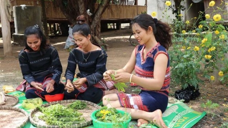 Rủ nhau đi hái rau rừng