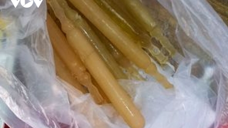 16  học sinh tiểu học đhị Quảng Nam boọl xang bêl cha kem