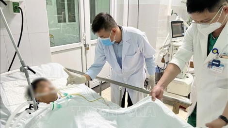 18 học sinh tiểu học moọt viện tơợ bêl âm trà sữa, cha p’lêê ơy xâu zr’ma