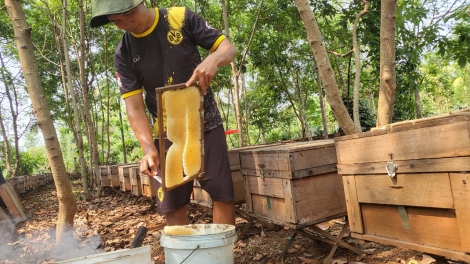 Ròng lơwe mờ bơta chài ơn prăp dà sŭt lơwe