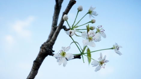 T'RUIH PA XƯL T'NGAY 1/5/2023