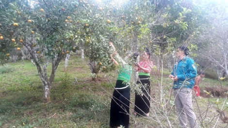 Có Lò Văn Quốc pliát chổm lái coiz thiuz chaoz tzấu nhản