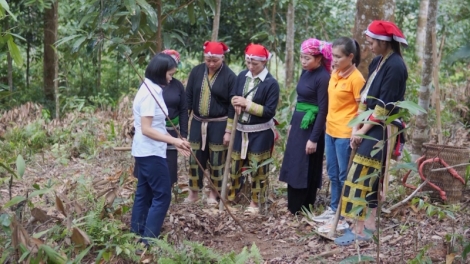 Ngon tô thứ 5 mự 06 bườn 04 pì 2023 –  Phủ nhinh phổng đin pu Yên Bái chóng hanh tánh tăm vịa dệt dượn