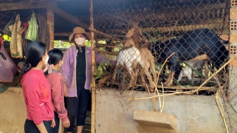 Dak lak: Hơmĕng tơplih ‘lơ̆ng tơdrong jang sa ăn drŏ kăn kon kông