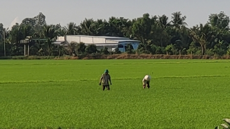 Tơơp bhrợ Hội nghị prang bha lang k’tiêc gluh 4 c’bhuh ch’na đh’năh nhâm mâng