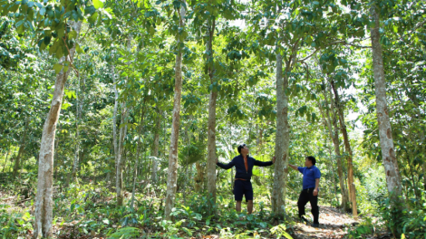 Đhanuôr Cơ Tu da ding k’coong Quảng Nam t’vaih cr’van cr’bhộ tơợ k’tiêc crâng lâng pa dưr choh crâng n’loong ga mắc