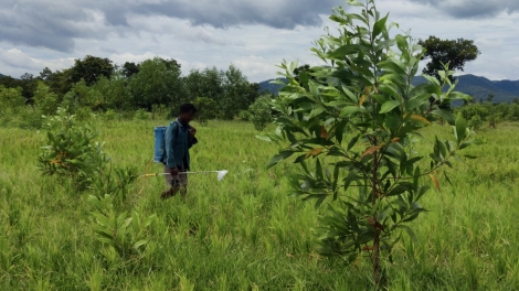 Gia Lai: pá puât tung xo tơvêh ƀă vêh pêt kong a tơnêi tro hdi xo