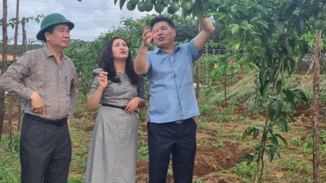 Lơh bè lơi nàng geh uă plai màk bơkah ngan khà dùl 