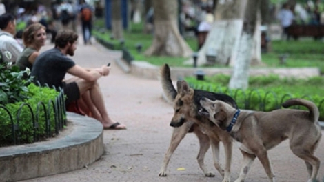 Gia Lai: 4 mlan akŏ thŭn mâo 5 čô djuê kyua klei ruă khŏ 