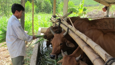 Chroi k’rong bh’rợ pa dưr chr’năp tr’haanh ting k’bhuh “Lêệ k’roọc rơơc A Lưới”