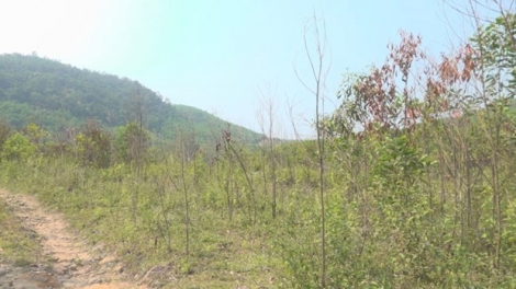 Keo lưch răng tu tri, đhanuôr choh keo đhị Quảng Ngãi bil bal bấc