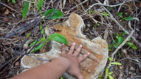 Quảng Trị dưr váih bấc tu bhiệc pa hư crâng a’bhưy