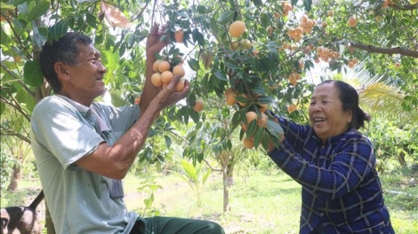 PHUN THANH TRÀ BA JIEN TAME TANI TANAT DI VINH LONG