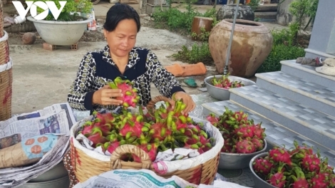 តើទិសដៅណាសម្រាប់ផ្លែស្រកានាគមានតម្លៃស្ថិរភាព?