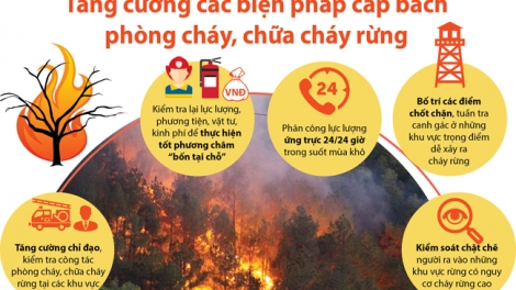 Ngon tô thứ 6 mự 26 căm bườn 5 pì 2023- Nhẳn danh xiệt hại pộ phay mảy pá dệt ók cận nhẳn danh xương xư?