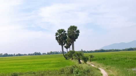 ពត៌មាន ម៉ោង ១៥