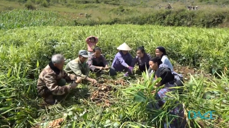 Linh hoạt giải pháp giảm nghèo ở từng địa phương miền núi