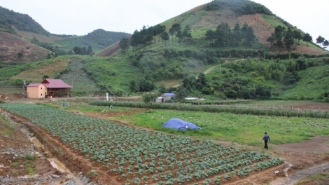 Ngon tô thứ 3 mự 30 bườn 05 pì 2023 –  Luông hanh choi thanh niên tánh tăm vịa dệt