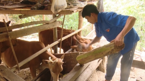 Ngon tô thứ 5 mự  18 căm  bườn 5 pì 2023 – Luông hanh choi thanh niên tánh tăm vịa dệt