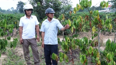 Kon Tum: Tŏ phang phă pơrăm truh tơ̆ ‘long chĕh phe 