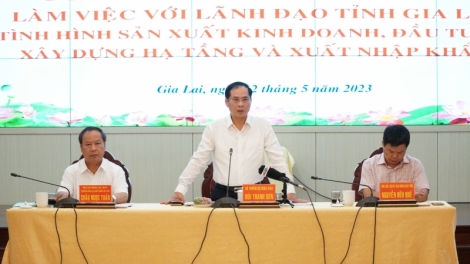 Kơdră Anih tơm jang tơbôl Bùi Thanh Sơn  bơ̆jang hăm Anih vei lăng kon pơlei dêh char Gia Lai