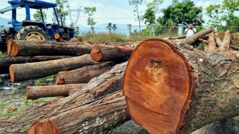 Bhrợ pa liêm toor c’lâng, col lơi 17 tơơm sao đen 15 c’moo