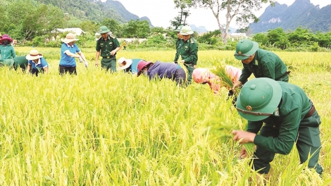 5 tỷ đồng k’rong bhrợ Dự án bhrợ ha roo ruộng đoọng ha đhanuôr Chứt đhị vel Lòm, tỉnh Quảng Bình 