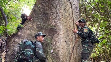Quảng Nam t’vaih c’lâng bhrợ cha đanh mâng za nươr tơợ crâng