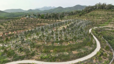 Lang xă sâu riêng tơ̆ Tây Nguyên – răm ƀăm păng trong hiôk  Ƀai 3: Băt kơ đe xơle kơ po lơ̆m tơdrong tơgar jang tih