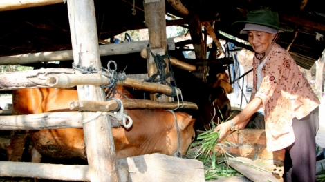 Liêm choom tơợ xa nay bh’rợ k’miah xay bhrợ cơnh boóp p’rá p’too pa choom âng Ava Hồ đhị cr’noon Krông Bông