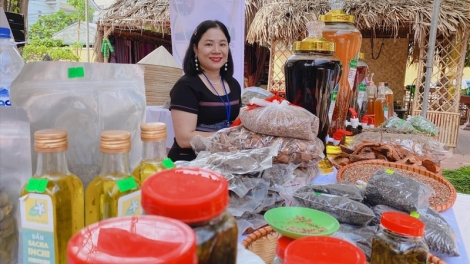 Hợp tác xã coh da ding ca coong Quảng Ngãi zooi đha nuôr acoon coh pa dưr tr’mông