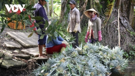 BHAP BINI KHMER TRA VINH MBEIK DREI YAM TAGOK MENG SALIH PHUN PALA