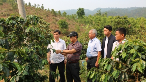 Kon Tum zooi đhanuôr acoon coh ting bhrợ bh’rợ ch’choh b’băn liêm choom bấc