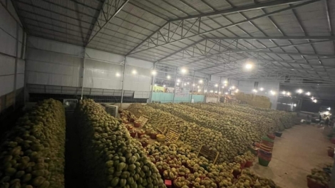 Tam uă ir sầu riêng tàm Tây Nguyên-Rềs àr mờ jơnau tam gơl bơtoah den sa ờ bơtoah den kong - Jơnau cih dơ̆ 3: Git cau git he tàm dơ̆ pơrlòng dờng