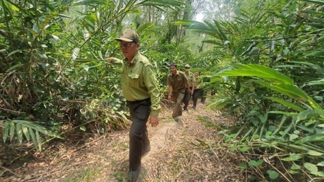 Phú Yên đơơh loon zâl cha groong rooh crâng bêl plêệng k’tiếc p’răng puyh ta luôn