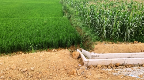 Quam kháo phổng Tày Bắc thứ 2 mự  29 căm bườn 05 pì 2023