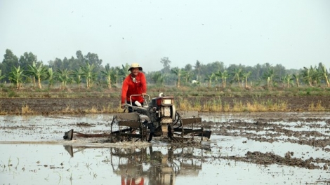 សុកត្រាំងជម្រុញការបញ្ចុះពូជស្រូវរដូវដើមឆ្នាំកំហិតហានិភ័យនៅចុងរដូវ។
