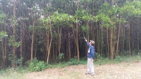 Phước Sơn t’hước ooy cr’noọ gluh n’đăh xa nay chr’hoong đharựt