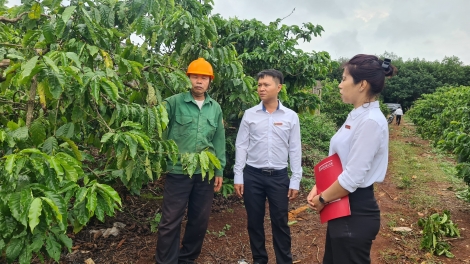 Gia Lai: Kon pơlei pơ̆n pơm pơdrŏng, tơring hơrih xa rai năr rai hơtŏk 'lơ̆ng