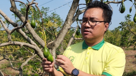 Cau tờm lơh sa suơn dờng lam lài tàm broă tam gơl lơh sa suơn sre sồ