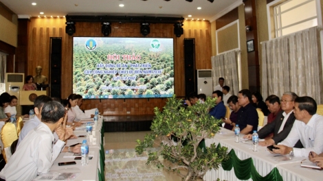 Rôh hôp Chêh bro tơdroăng pơkâ mơnhông pêt loăng ton hơnăm troh hơnăm 2030