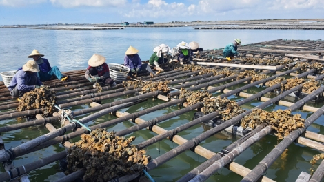 PANG CHỎI PỈ NOỌNG LIỆNG PJA CỦNG TỀNH PÉ HẢI