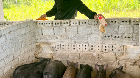 Quảng Nam pa dưr râu liêm choom âng bh’rợ pa xiêr đharựt nhâm mâng coh da ding k’coong