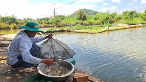 Ngon tô thứ 5 mự  15 căm  bườn 6 pì 2023 –  Gia Lai: Po hay me na chang ngắm pùn dệt hăng, phổng bản na piến thái lài dong