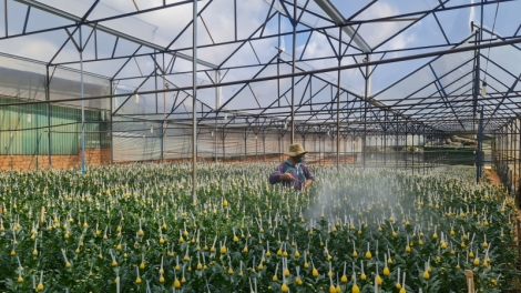 Đạ Nhim mđĭ hĭn bruă klam mơ̆ng đảng viên mnuih djuê ƀiă